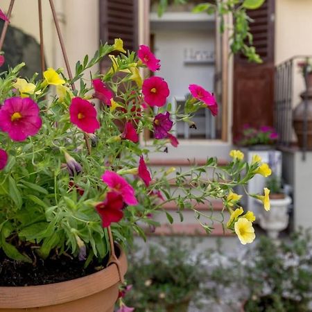 Loft Azalea Garden Wifi Air Conditioning Флоренция Екстериор снимка